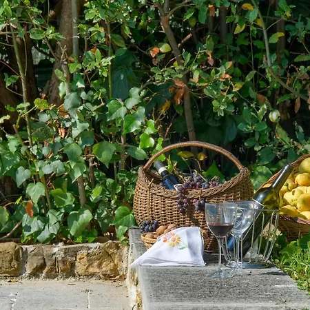 Maria - In The Hills Above Florence 别墅 Castiglione (Florence)