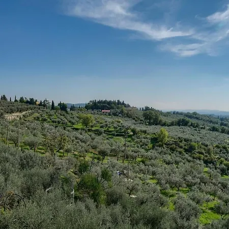 Villa Maria - In The Hills Above Florence Castiglione (Florence)