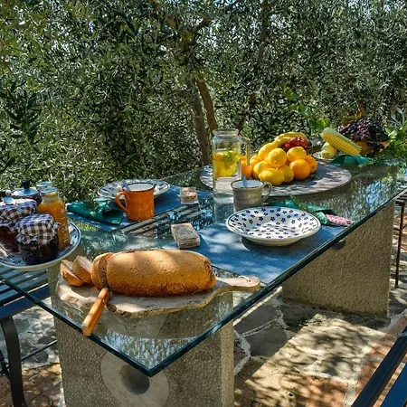 Villa Maria - In The Hills Above Florence Castiglione (Florence)